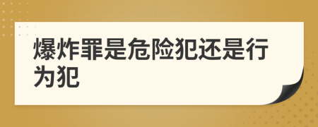爆炸罪是危險(xiǎn)犯還是行為犯