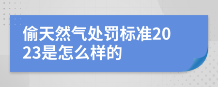 偷天然氣處罰標(biāo)準(zhǔn)2023是怎么樣的