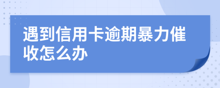 遇到信用卡逾期暴力催收怎么辦