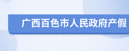 廣西百色市人民政府產(chǎn)假