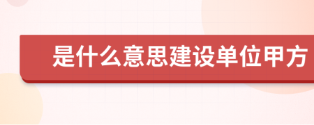 是什么意思建設(shè)單位甲方