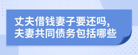 丈夫借錢妻子要還嗎,夫妻共同債務(wù)包括哪些