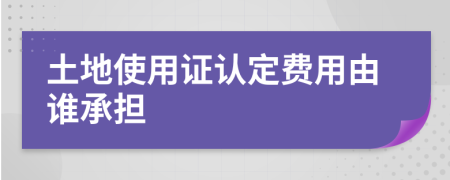 土地使用證認(rèn)定費用由誰承擔(dān)