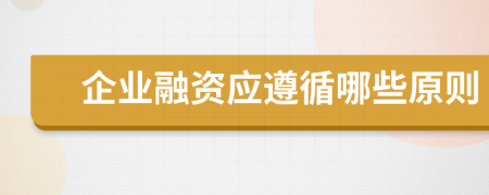 企業(yè)融資應(yīng)遵循哪些原則
