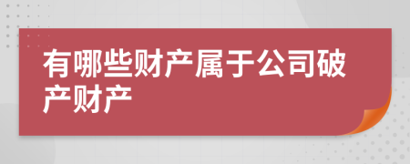 有哪些財產(chǎn)屬于公司破產(chǎn)財產(chǎn)