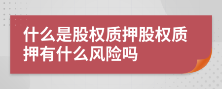 什么是股权质押股权质押有什么风险吗