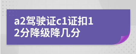 a2駕駛證c1證扣12分降級降幾分