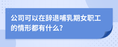 公司可以在辭退哺乳期女職工的情形都有什么？
