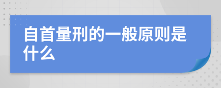 自首量刑的一般原則是什么