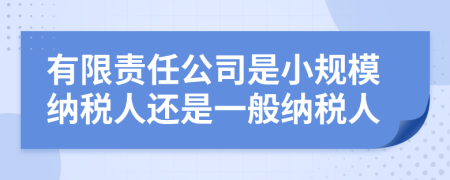 有限責(zé)任公司是小規(guī)模納稅人還是一般納稅人