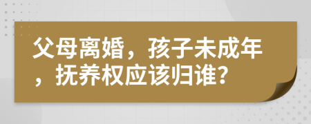 父母離婚，孩子未成年，撫養(yǎng)權(quán)應(yīng)該歸誰？