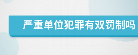 嚴(yán)重單位犯罪有雙罰制嗎