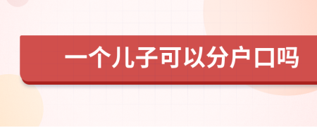 一個(gè)兒子可以分戶(hù)口嗎