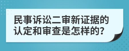民事訴訟二審新證據(jù)的認定和審查是怎樣的？
