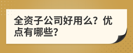 全資子公司好用么？優(yōu)點有哪些？