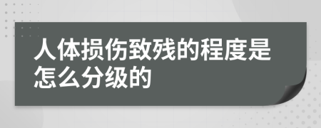 人體損傷致殘的程度是怎么分級(jí)的