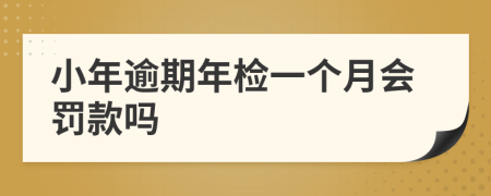 小年逾期年檢一個(gè)月會(huì)罰款嗎