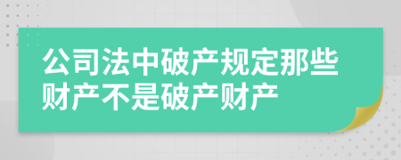 公司法中破產(chǎn)規(guī)定那些財(cái)產(chǎn)不是破產(chǎn)財(cái)產(chǎn)