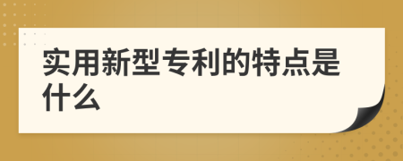 實(shí)用新型專利的特點(diǎn)是什么
