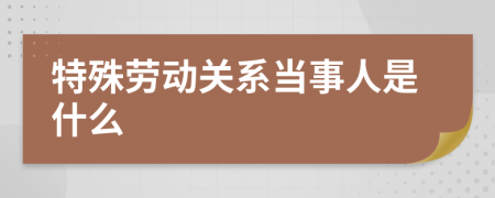 特殊勞動關(guān)系當(dāng)事人是什么