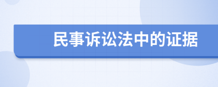 民事訴訟法中的證據(jù)