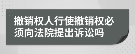撤銷權人行使撤銷權必須向法院提出訴訟嗎