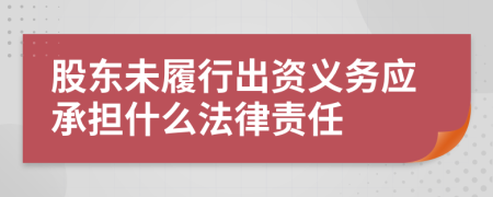 股東未履行出資義務(wù)應(yīng)承擔什么法律責(zé)任