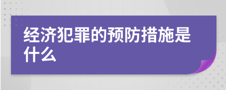 經濟犯罪的預防措施是什么