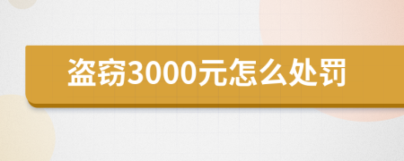 盜竊3000元怎么處罰