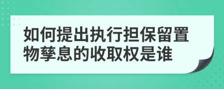 如何提出執(zhí)行擔(dān)保留置物孳息的收取權(quán)是誰