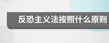 反恐主義法按照什么原則