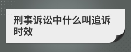 刑事訴訟中什么叫追訴時效