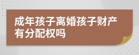 成年孩子離婚孩子財(cái)產(chǎn)有分配權(quán)嗎
