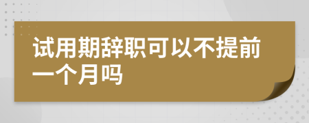 試用期辭職可以不提前一個(gè)月嗎
