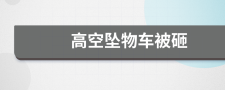 高空墜物車被砸