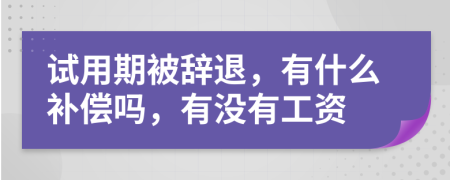試用期被辭退，有什么補(bǔ)償嗎，有沒(méi)有工資