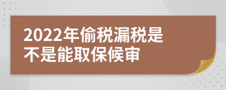 2022年偷稅漏稅是不是能取保候?qū)?>
                </a>
            </div>
            <div   id=