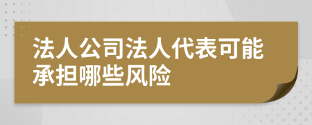 法人公司法人代表可能承擔(dān)哪些風(fēng)險
