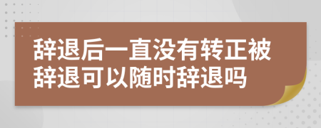 辭退后一直沒有轉(zhuǎn)正被辭退可以隨時(shí)辭退嗎
