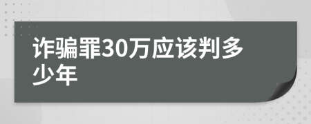 詐騙罪30萬(wàn)應(yīng)該判多少年