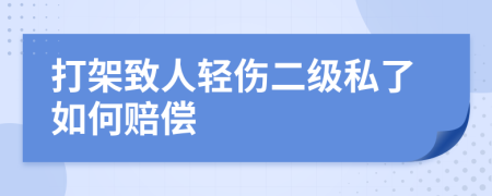 打架致人輕傷二級私了如何賠償