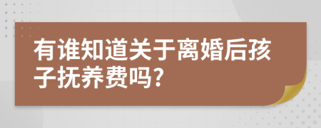 有誰(shuí)知道關(guān)于離婚后孩子撫養(yǎng)費(fèi)嗎?