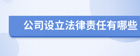 公司設(shè)立法律責(zé)任有哪些