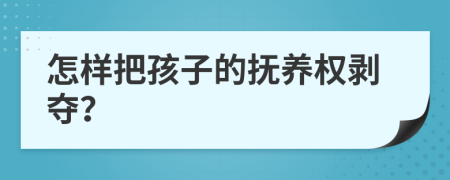 怎樣把孩子的撫養(yǎng)權(quán)剝奪？