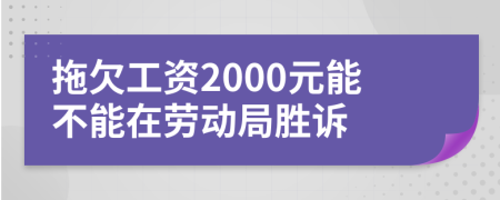 拖欠工資2000元能不能在勞動局勝訴