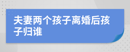 夫妻兩個孩子離婚后孩子歸誰
