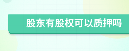 股東有股權(quán)可以質(zhì)押嗎