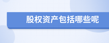 股權(quán)資產(chǎn)包括哪些呢