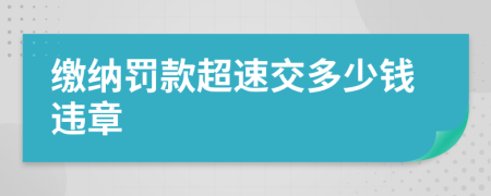 繳納罰款超速交多少錢違章
