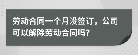 勞動(dòng)合同一個(gè)月沒(méi)簽訂，公司可以解除勞動(dòng)合同嗎？